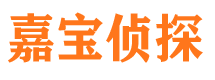 乐安市侦探调查公司